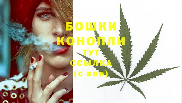 мяу мяу мука Богданович