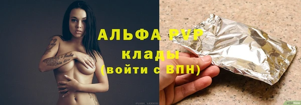 spice Богородск