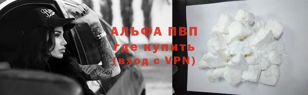 spice Богородск